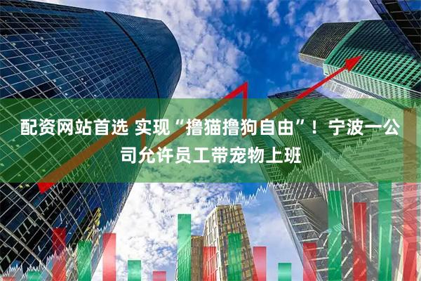 配资网站首选 实现“撸猫撸狗自由”！宁波一公司允许员工带宠物上班