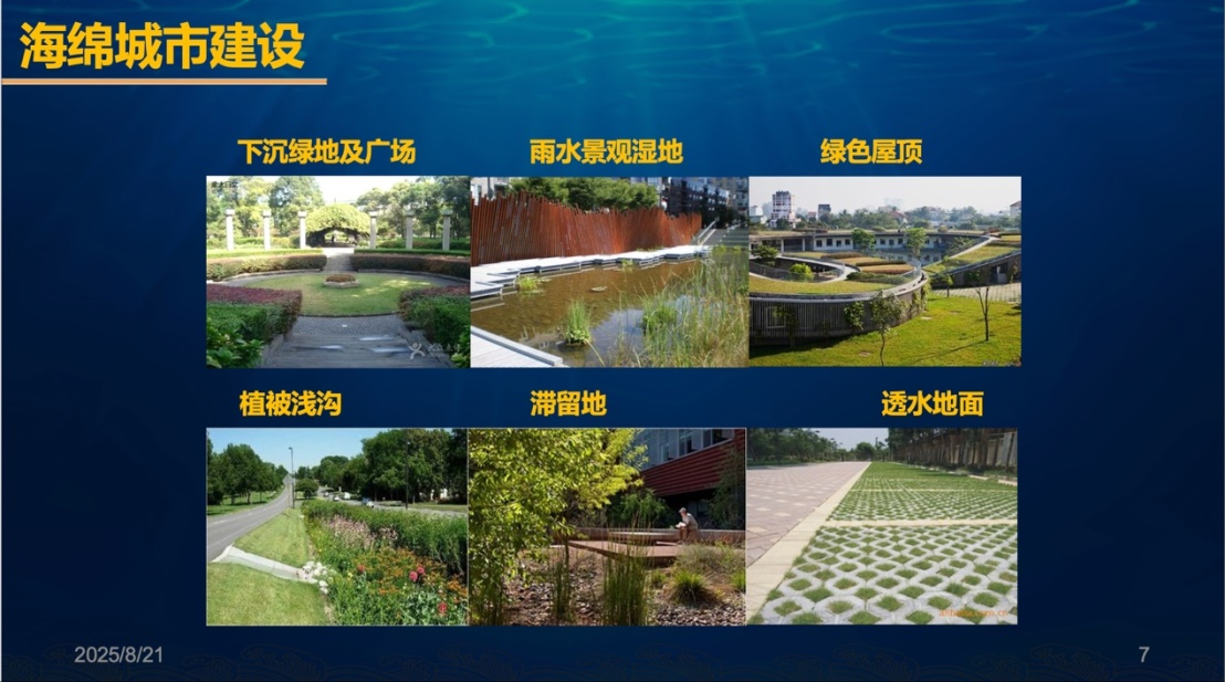 图片来源：受访者供图